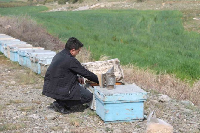 Adana’da Kuraklık Arıyı Da Vurdu