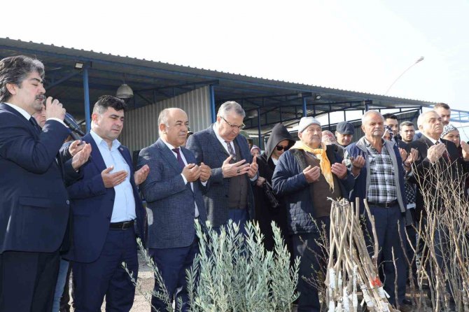 Yunusemre Belediyesi Üreticisine 35 Bin Fidan Dağıttı