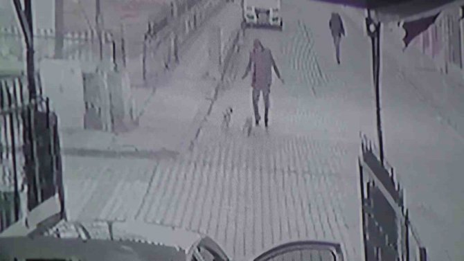 İ̇ki Minik Köpeğin Kovaladığı Adam Böyle Kaçtı