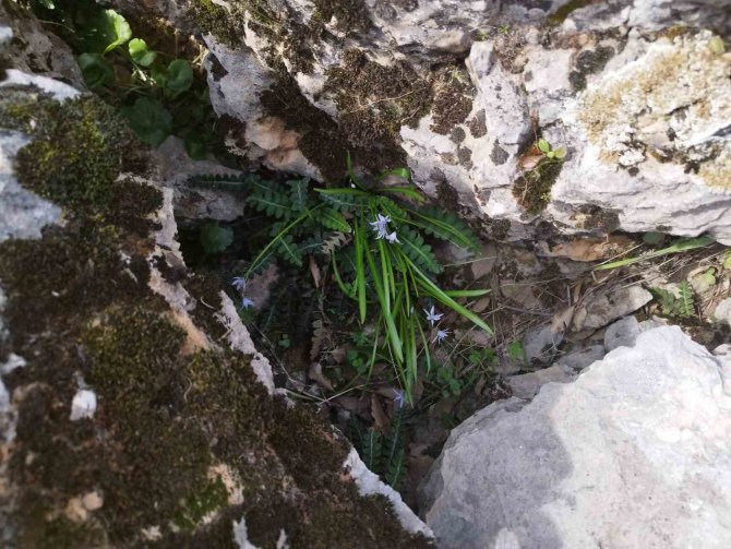 Halfeti’de Sessiz Festival