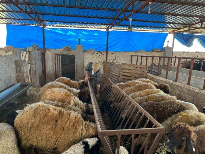 Devlet Desteği İle Üretici Oldu, Depremzedelere 200 Hayvanını Bağışladı