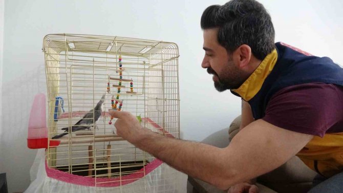 Depremin 10’uncu Gününde Enkazdan Canlı Çıkan Papağanı Sağlık Personeli Sahiplendi