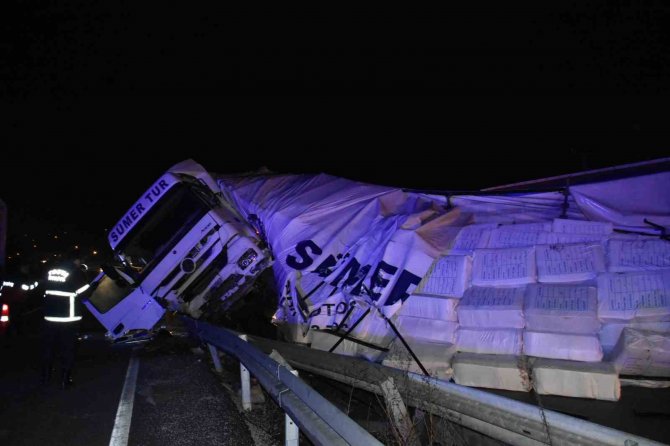 Şoför Önüne Çıkan Hayvana Çarpmamak İçin Manevra Yaptı, Tır Devrildi