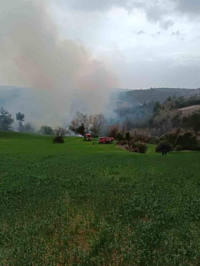 Osmaniye’de Ormanlık Alanda Yangın Çıktı