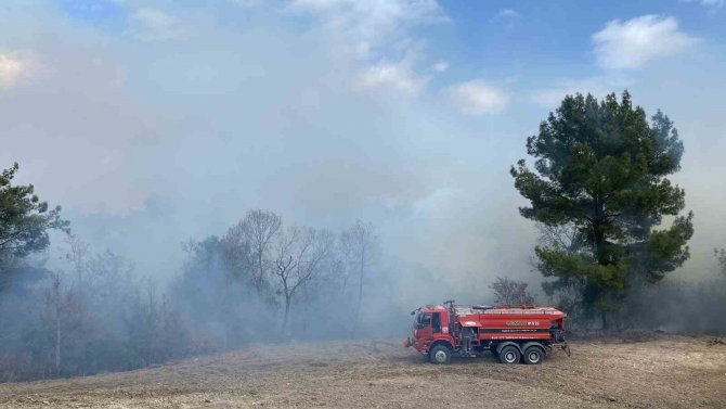Osmaniye’de Ormanlık Alanda Yangın Çıktı
