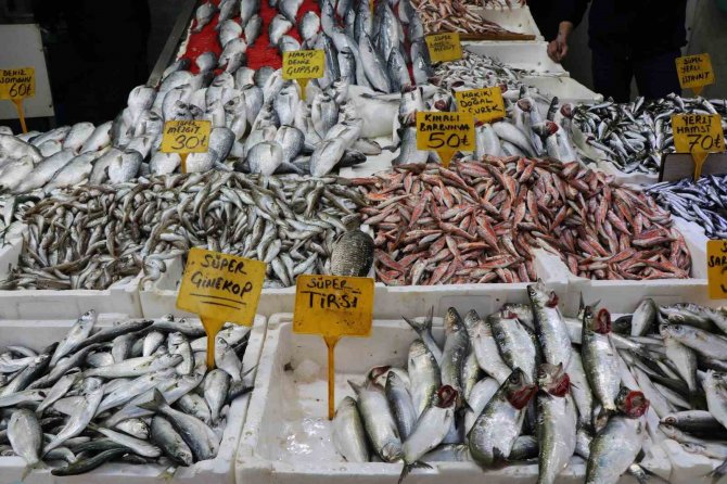 Tezgahların En Pahalısı Kalkan, En Ucuzu İse Mezgit