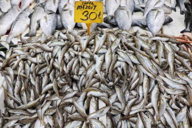 Tezgahların En Pahalısı Kalkan, En Ucuzu İse Mezgit