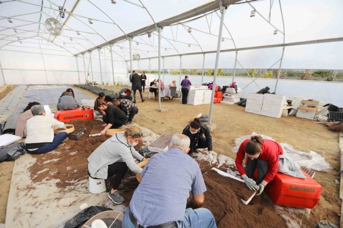 Kadınların Ektiği Tohumlar, Deprem Bölgesinde Filizlenecek