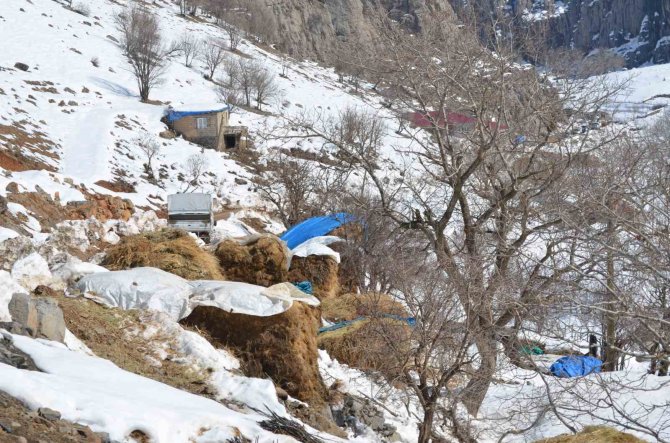 Doğuda Kış Çilesi Devam Ediyor