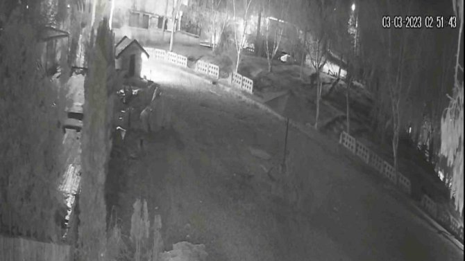 Gözü Dönen Komşu Köpek Kulübesini Ateşe Verdi