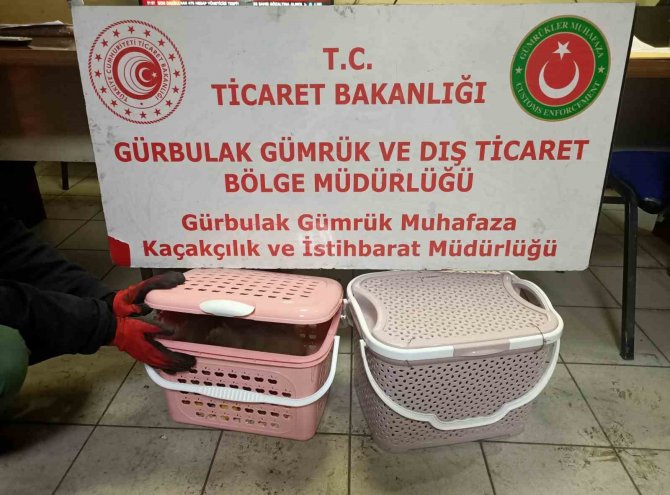 Gürbulak Gümrük Kapısı’nda 11 Adet Yavru Maymun Ele Geçirildi