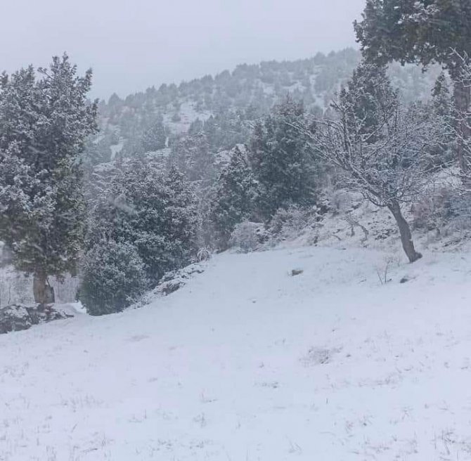 Çameli, Mart Karıyla Beyaza Büründü