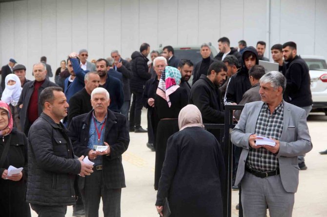 Muhtarlık Seçimleri Cumhurbaşkanlığı Seçimlerini Aratmadı