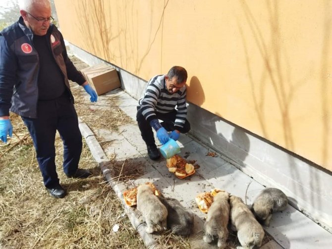 Şenkaya’da Kamu Görevlilerinden Örnek Davranış