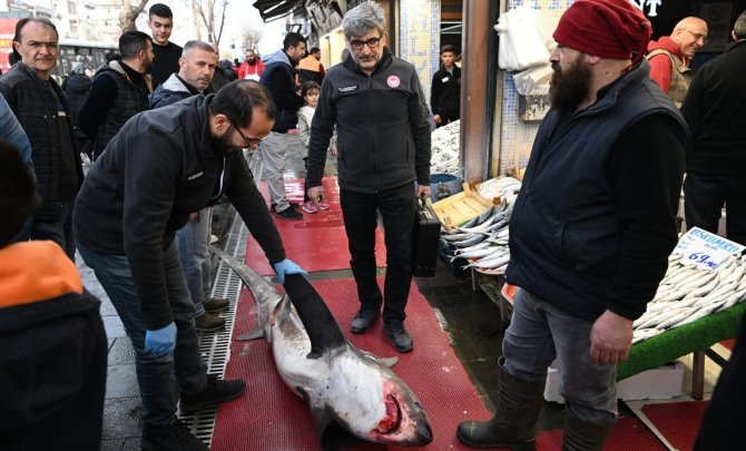 3,5 Metrelik Yasaklı Köpek Balığının Satışına Ceza