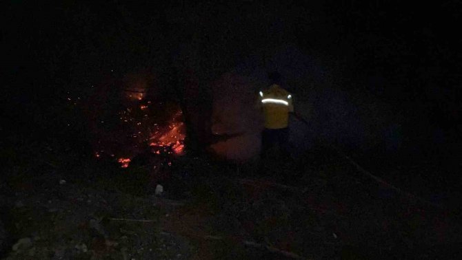 (Zonguldak) Nehir Kenarında Yakılan Ateş Örtü Yangınına Dönüştü