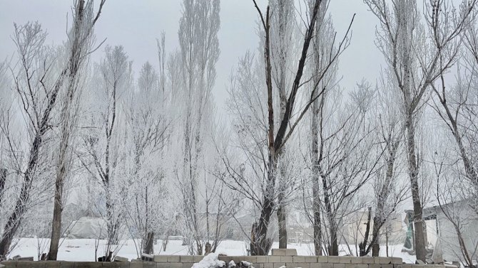 Ağrı’da Çamaşırlar Dondu