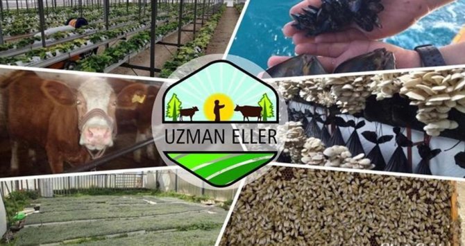“Uzman Eller Projeleri” İçin Başvurular Başladı