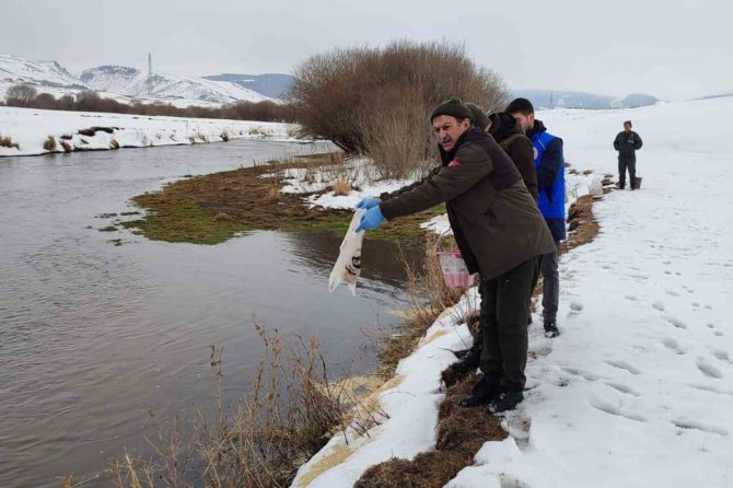 Ardahan’da Yaban Hayatı İçin Doğaya Yem Bırakıldı