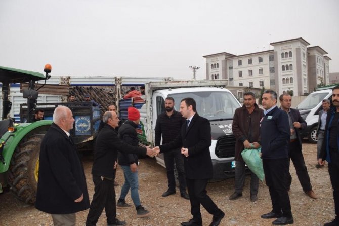 Kozluklu Çiftçilere 22 Bin Adet Fıstık Fidanı Dağıtıldı