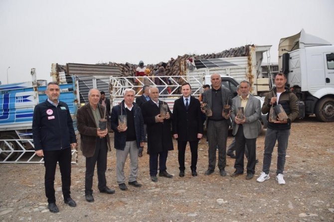 Kozluklu Çiftçilere 22 Bin Adet Fıstık Fidanı Dağıtıldı