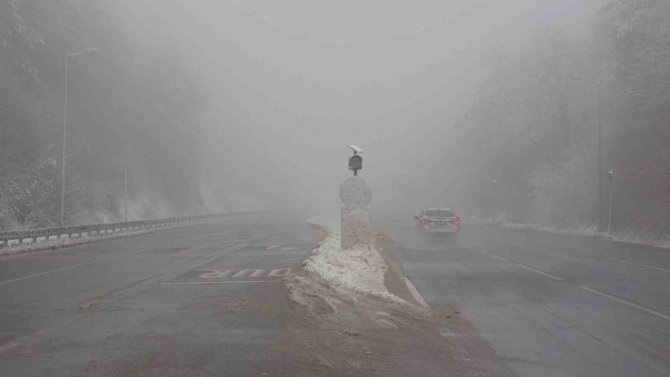 Bolu Dağı’nda Sis Ve Karla Karışık Yağmur Etkili Oluyor