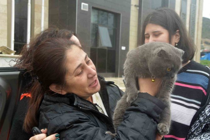 Depremzede Aile 28 Gün Sonra Kedisine Kavuştu