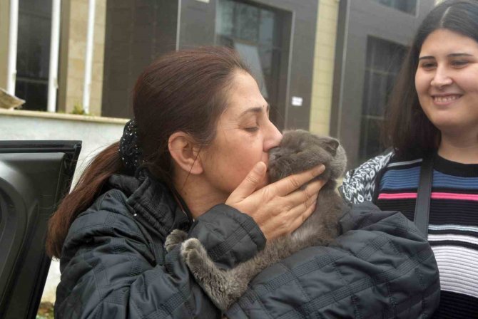 Depremzede Aile 28 Gün Sonra Kedisine Kavuştu