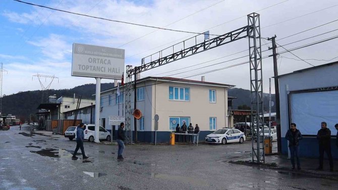 Çiftçiler Domateste İhracat Kısıtlamasının Kalkmasını İstiyor