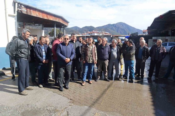 Çiftçiler Domateste İhracat Kısıtlamasının Kalkmasını İstiyor