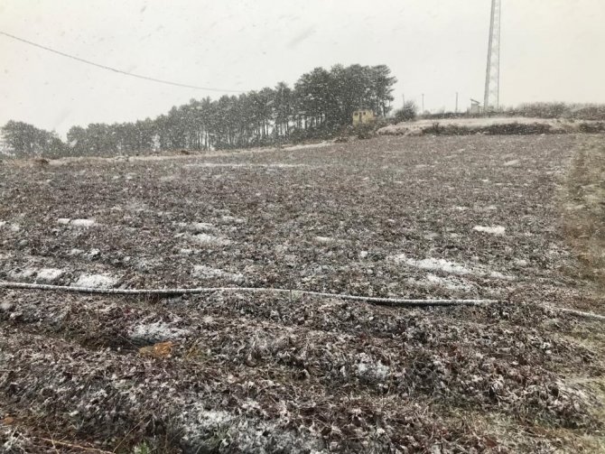 Denizli Baharı Karla Karşıladı