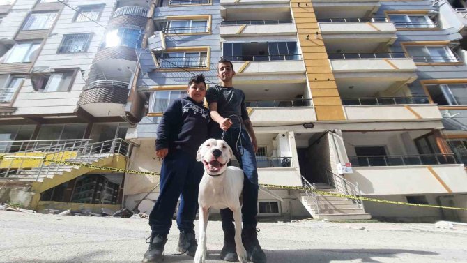 Kahraman Köpek ’Dora’, Deprem Anında Kendisini Siper Ederek Sahiplerini Korudu
