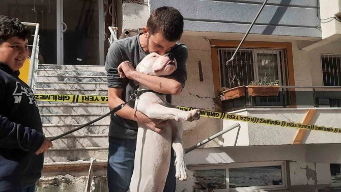 Kahraman Köpek ’Dora’, Deprem Anında Kendisini Siper Ederek Sahiplerini Korudu