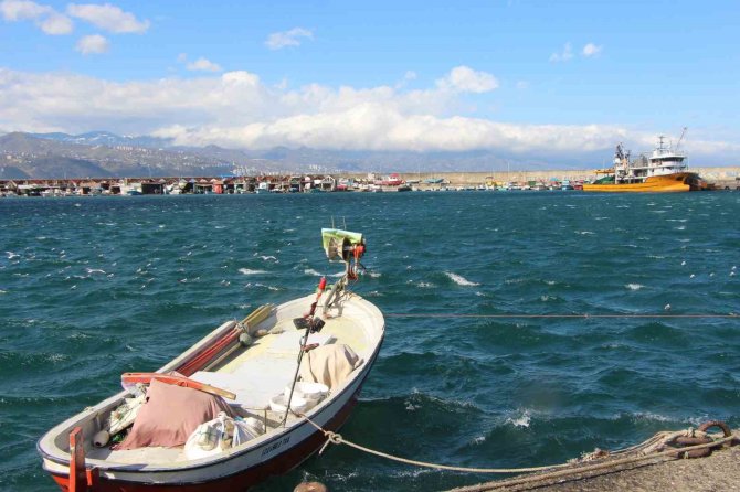 Hamsi Sezonu Kapattı, Vatandaş İstavrit Ve Mezgite Yöneldi