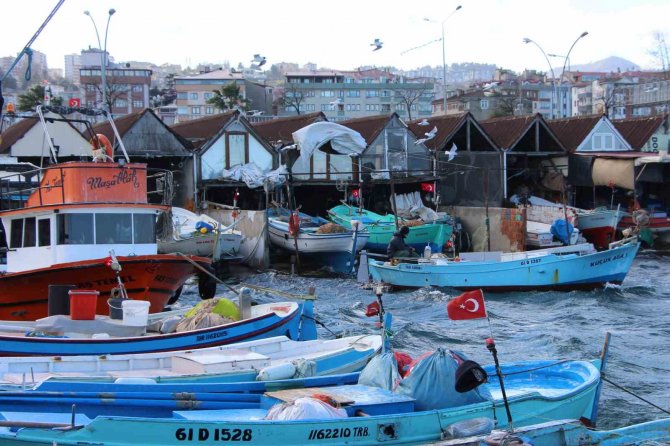 Hamsi Sezonu Kapattı, Vatandaş İstavrit Ve Mezgite Yöneldi