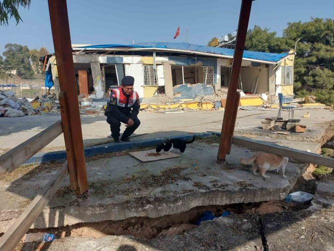 Jandarma Ekipleri Hatay’da Sokak Hayvanlarını Besliyor