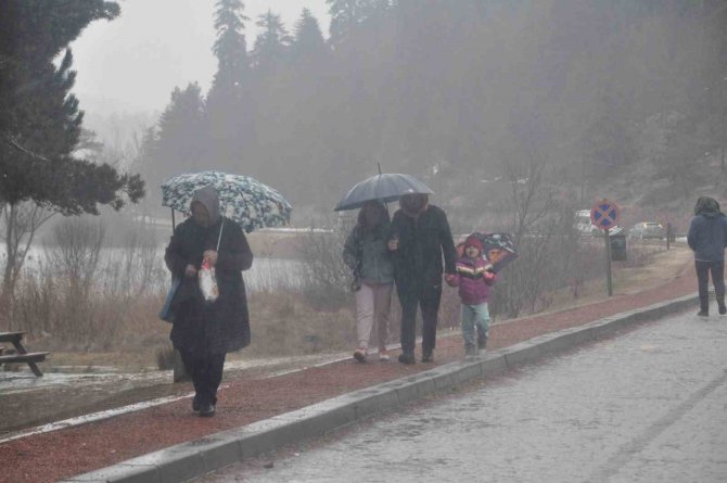 Abant’ta Karlar Eridi, Çiğdemler Çiçek Açtı