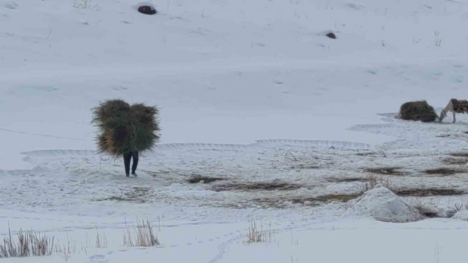 Van’da Besicilerin Zorlu Kış Mesaisi
