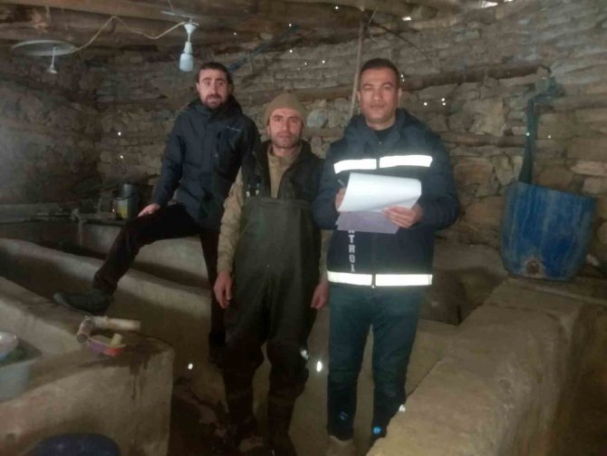 Van’da Alabalık Üretimi Yapan Tesisler Denetlendi