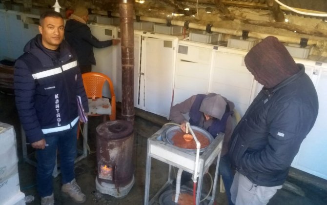 Van’da Alabalık Üretimi Yapan Tesisler Denetlendi