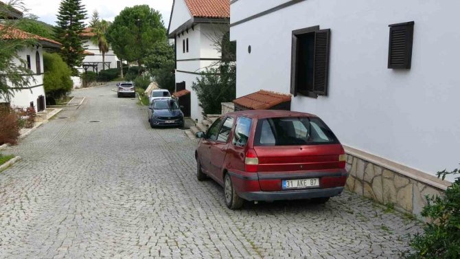 Şampiyon Eski Milli Güreşçi Bu Sefer Gönüllerin Şampiyonu Oldu