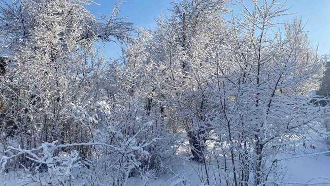 Mart Kapıdan Baktırdı, Baharı Bekleyen Karlıova’ya Kış Geri Geldi