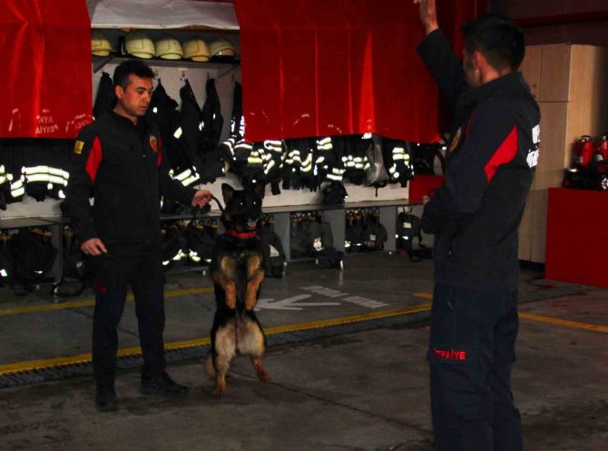 İ̇tfaiye Erinin Eğittiği Arama Kurtarma Köpekleri 18 Kişinin Hayatına Dokundu