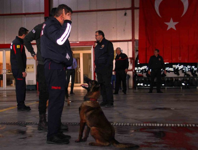 İ̇tfaiye Erinin Eğittiği Arama Kurtarma Köpekleri 18 Kişinin Hayatına Dokundu