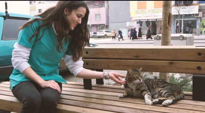 Gürsu’nun ‘Tatlı Serseri’si Vatandaşın Maskotu Oldu