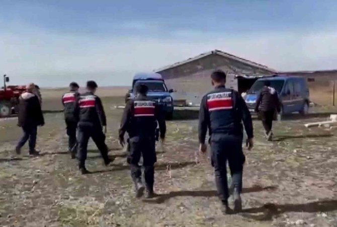 Jandarma Kaybolan Koyunları Dron İle Buldu