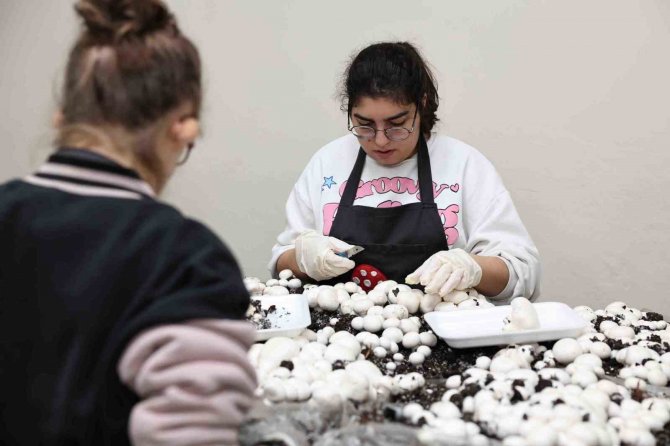 Depremden Sağ Kurtulan Engelli Esmanur, Depremzedelere Yardım Eli Uzattı