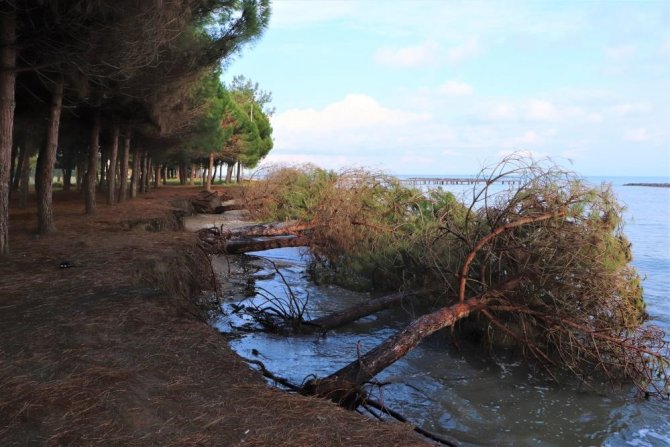 Samsun’da Kıyı Erozyonu Ve Tahribatı Önlenecek