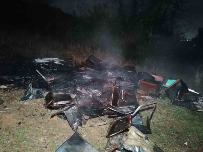 Ormanlık Alandaki Arı Kovanları Kül Oldu