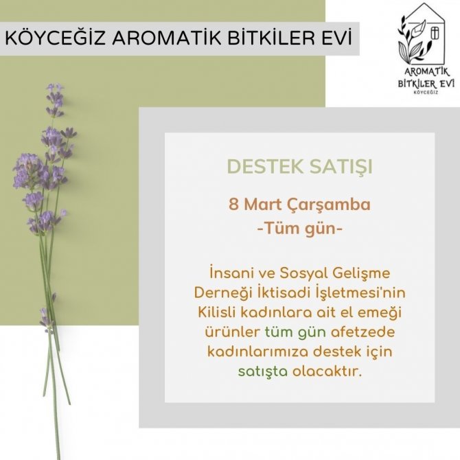 Köyceğiz’de Kadınlar Günü Nedeniyle Etkinlikler Düzenlenecek